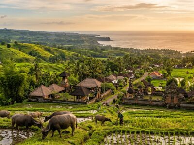 Jembrana West Bali rural landscape