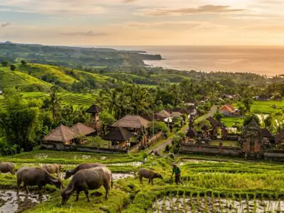 Jembrana West Bali rural landscape