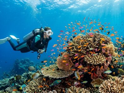 Scuba diving tour one Bali