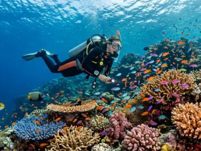 Scuba diving Bali tour
