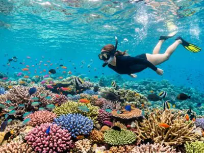 Snorkeling Bali tour