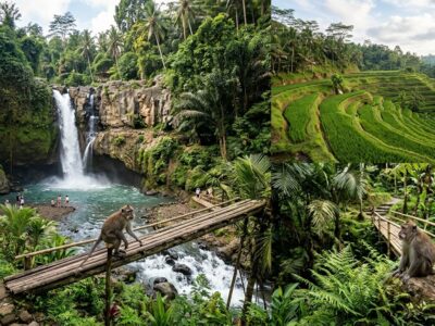 Ubud natural wonders tour