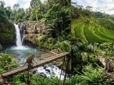 Ubud natural wonders tour