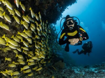 Menjangan Island Snorkeling Day Trip — pre-visit venue photo (source: https://unsplash.com/photos/underwater-photo-of-corals-and-fish-O4e0z6H2Xg8)