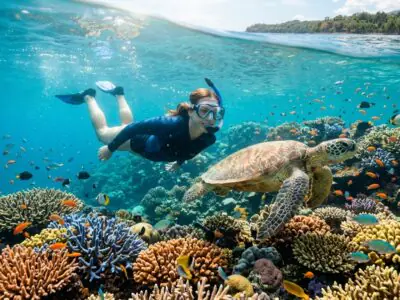 West Bali National Park Snorkeling Adventure: Coral Reefs &